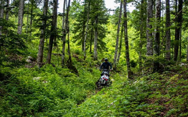 _DSC5753 Sortie en nature avec un vélo-fauteuil tout-terrain sur un chemin forestier